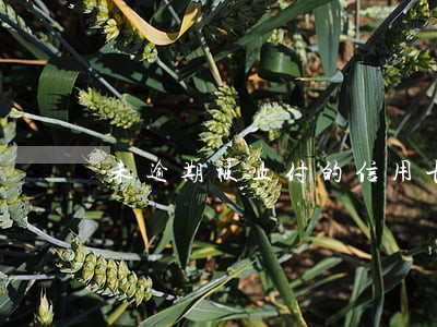 未逾期被止付的信用卡 未逾期被止付的信用卡