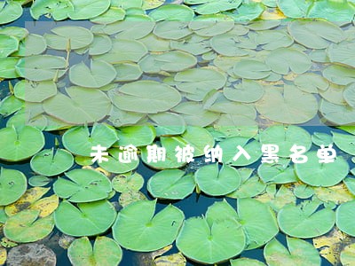 未逾期被纳入黑名单 未逾期被纳入黑名单