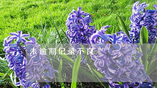 未逾期记录不良 未逾期记录不良