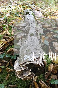 未逾期记录怎么办 未逾期记录怎么办