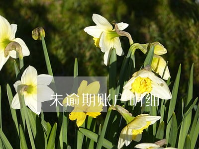 未逾期账户明细 未逾期账户明细
