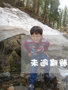 未逾期账户明细还吗 未逾期账户明细还吗