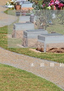 未逾期超过三个月 未逾期超过三个月