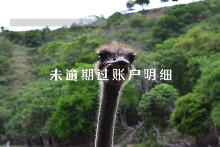 未逾期过账户明细 未逾期过账户明细