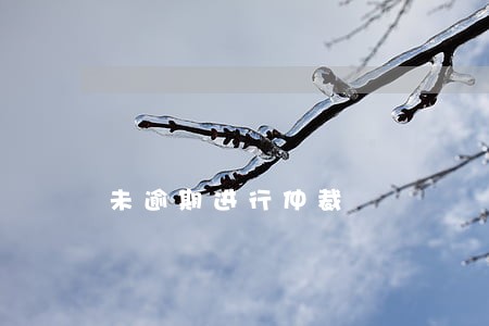 未逾期进行仲裁 未逾期进行仲裁