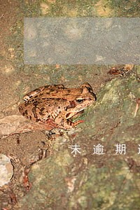 未逾期通讯录被爆 未逾期通讯录被爆
