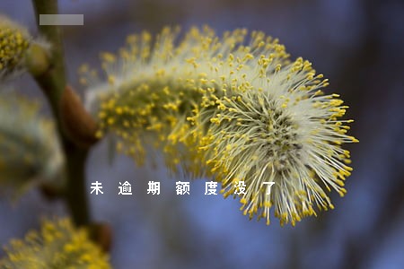 未逾期额度没了 未逾期额度没了