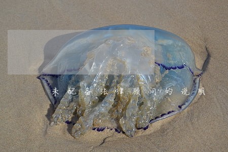未配备法律顾问的说明 未配备法律顾问的说明
