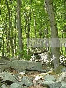 未销户贷记卡没有逾期 未销户贷记卡没有逾期