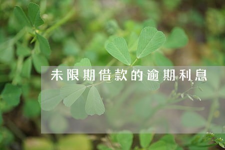 未限期借款的逾期利息 未限期借款的逾期利息