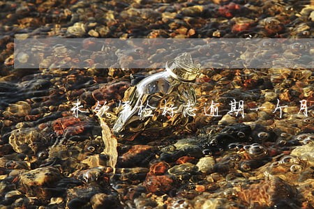 未领年检标志逾期一个月 未领年检标志逾期一个月