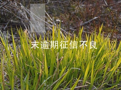 末逾期征信不良 末逾期征信不良