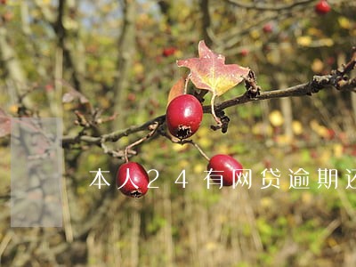 本人24有网贷逾期还能买房子吗 本人24有网贷逾期还能买房子吗