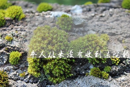 本人从来没有收到法院的传票
