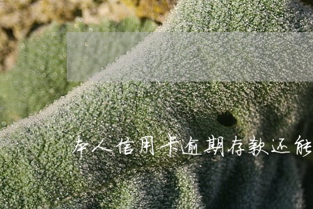 本人信用卡逾期存款还能取吗 本人信用卡逾期存款还能取吗