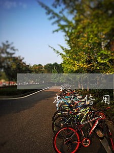 本人信用卡逾期被逼死 本人信用卡逾期被逼死