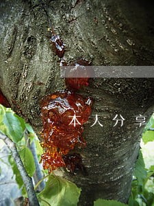 本人分享网贷逾期无力偿还 本人分享网贷逾期无力偿还