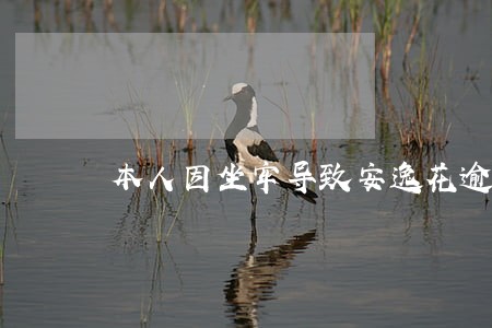 本人因坐牢导致安逸花逾期怎么办 本人因坐牢导致安逸花逾期怎么办