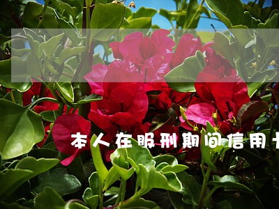 本人在服刑期间信用卡一直逾期