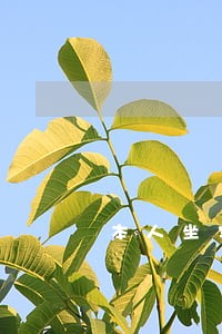 本人坐牢信用卡逾期了怎么办