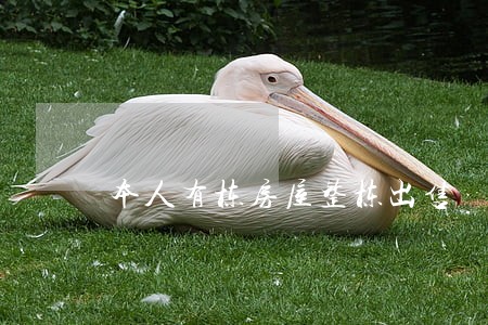 本人有栋房屋整栋出售 本人有栋房屋整栋出售