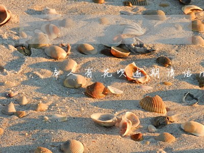 本人有花呗逾期请结清后再来 本人有花呗逾期请结清后再来