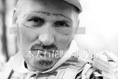本人有花呗逾期请结清后申请借呗 本人有花呗逾期请结清后申请借呗