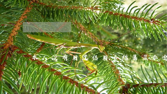 本人没有用过信用卡结果显示逾期 本人没有用过信用卡结果显示逾期