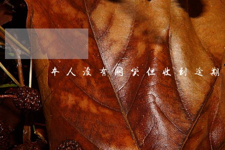 本人没有网贷但收到逾期短信 本人没有网贷但收到逾期短信