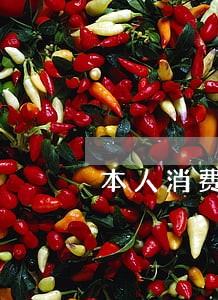本人消费欠款逾期 本人消费欠款逾期