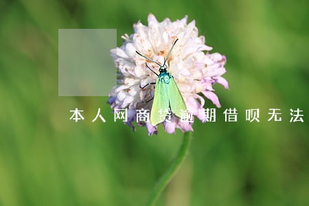 本人网商贷逾期借呗无法使用 本人网商贷逾期借呗无法使用
