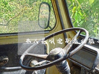 本人花呗逾期老公能办车贷么 本人花呗逾期老公能办车贷么