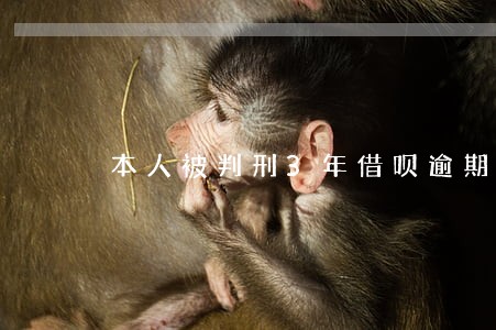 本人被判刑3年借呗逾期怎么办 本人被判刑3年借呗逾期怎么办
