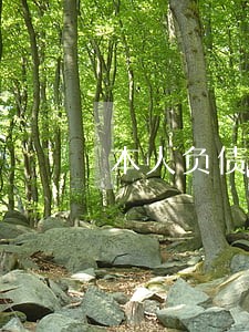 本人负债逾期 本人负债逾期