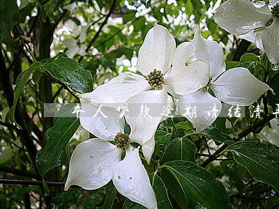 本人贷款逾期请结清再申请 本人贷款逾期请结清再申请