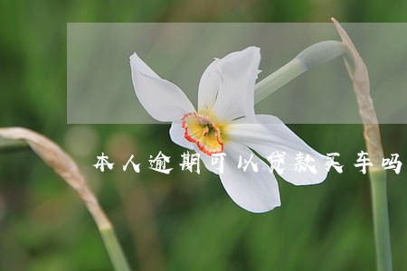 本人逾期可以贷款买车吗 本人逾期可以贷款买车吗