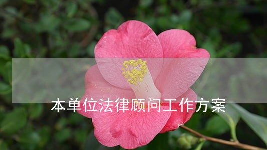本单位法律顾问工作方案 本单位法律顾问工作方案