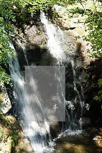 本地专利维权律师电话 本地专利维权律师电话