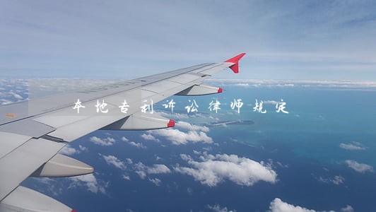 本地专利诉讼律师规定 本地专利诉讼律师规定