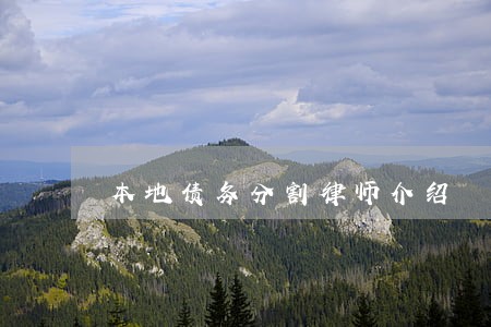 本地债务分割律师介绍 本地债务分割律师介绍