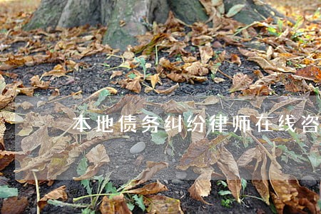 本地债务纠纷律师在线咨询 本地债务纠纷律师在线咨询