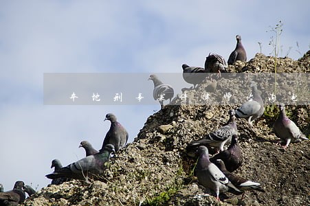 本地刑事案件律师咨询电话 本地刑事案件律师咨询电话