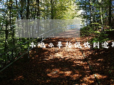 本地办事处说收到逾期案件 本地办事处说收到逾期案件