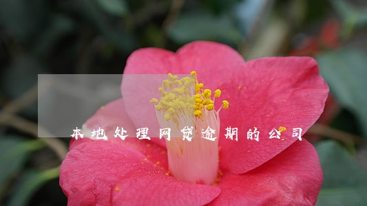 本地处理网贷逾期的公司 本地处理网贷逾期的公司