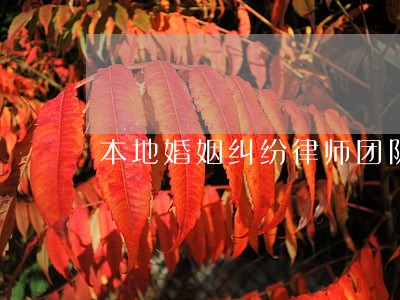 本地婚姻纠纷律师团队 本地婚姻纠纷律师团队