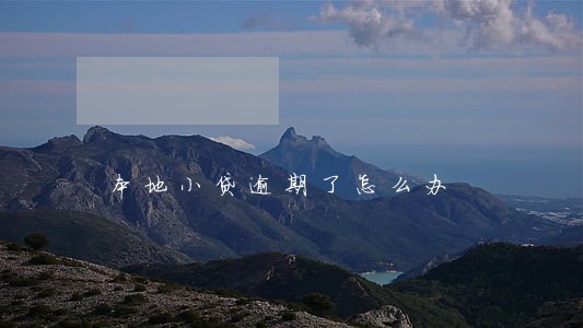 本地小贷逾期了怎么办 本地小贷逾期了怎么办