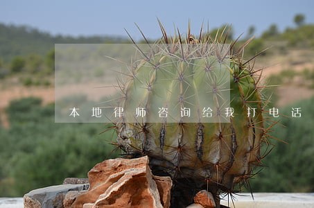 本地律师咨询给我打电话 本地律师咨询给我打电话