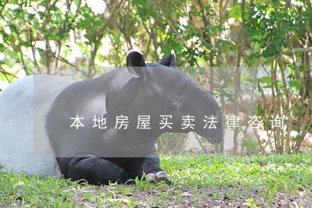 本地房屋买卖法律咨询 本地房屋买卖法律咨询