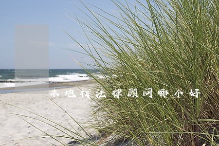 本地找法律顾问哪个好 本地找法律顾问哪个好