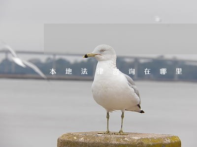 本地法律咨询在哪里